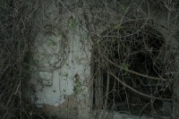 /album/kata-varju/a40-jpg/