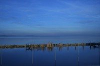 /album/kata-varju/img-2931-jpg/