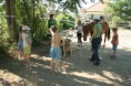 /album/fenykepgaleria/img-5918-jpg/