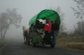 /album/fenykepgaleria/img-7265-jpg/
